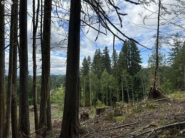 0.78 Acres of Residential Land for Sale in Vernonia, Oregon