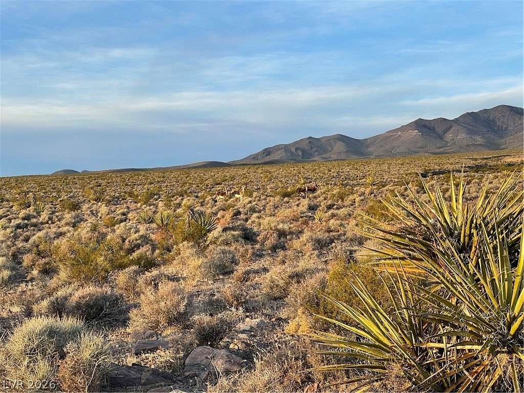 5 Acres of Residential Land for Sale in Pahrump, Nevada