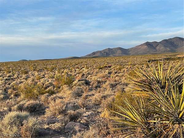 5 Acres of Residential Land for Sale in Pahrump, Nevada