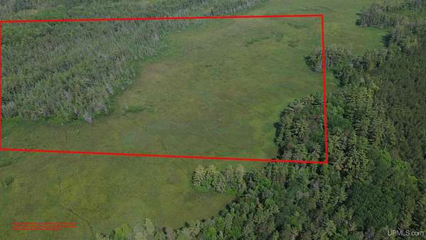 40 Acres of Recreational Land for Sale in Manistique, Michigan