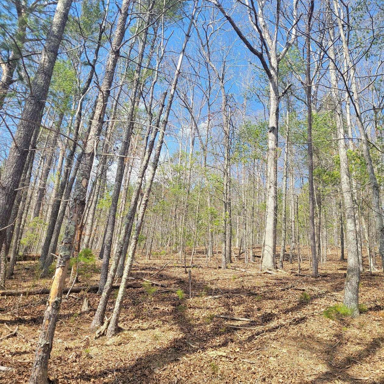 237 Acres of Recreational Land for Sale in Dublin, Virginia