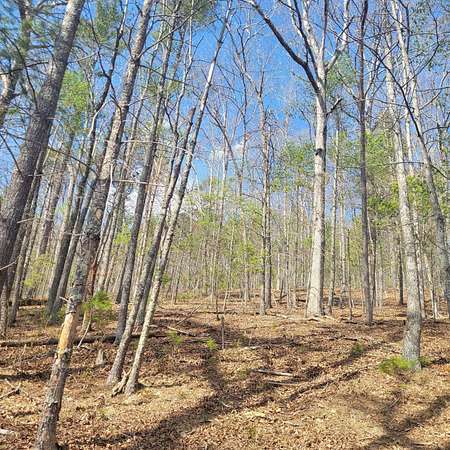 237 Acres of Recreational Land for Sale in Dublin, Virginia