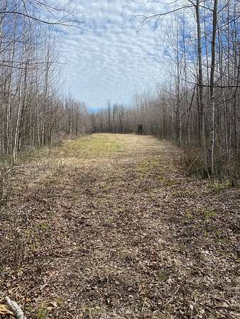 119 Acres of Recreational & Residential Land for Sale in Littlefork, Minnesota