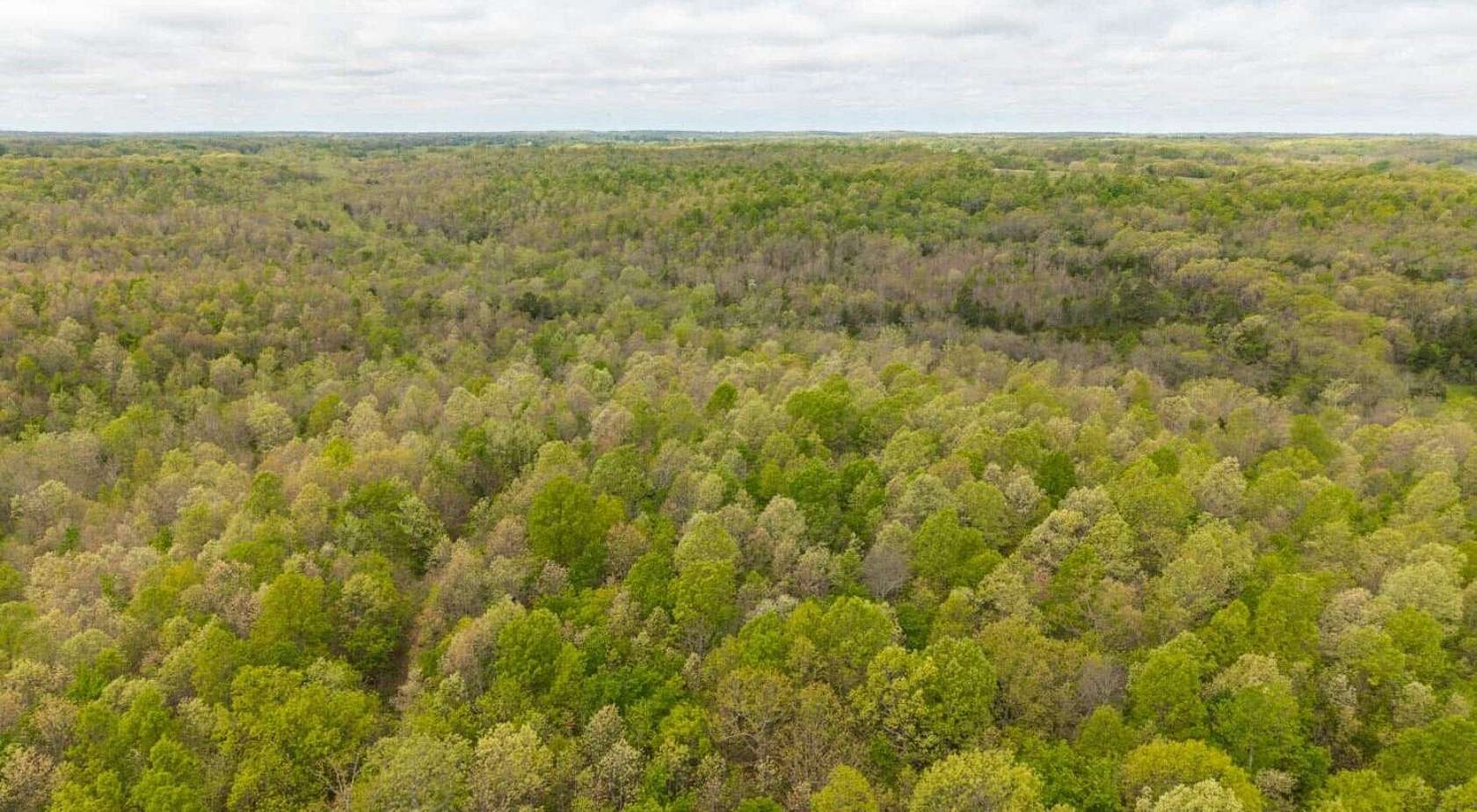 40 Acres of Recreational Land for Sale in Hartville, Missouri