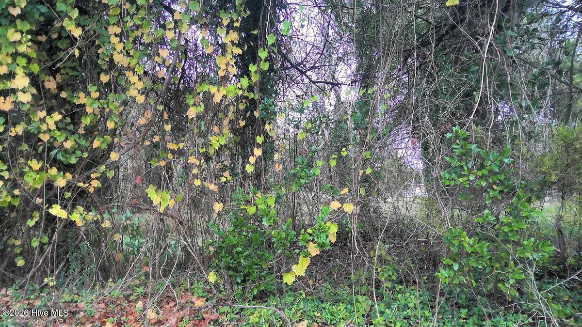 0.5 Acres of Commercial Land for Sale in Kinston, North Carolina