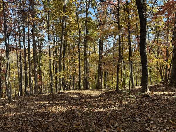 1.38 Acres of Land for Sale in Goodview, Virginia