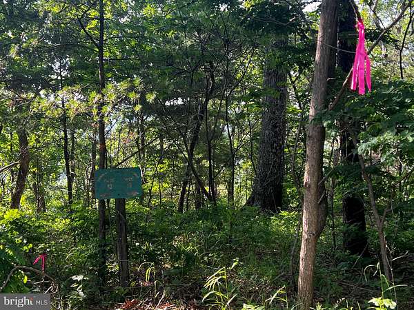 51.4 Acres of Recreational Land for Sale in Moorefield, West Virginia
