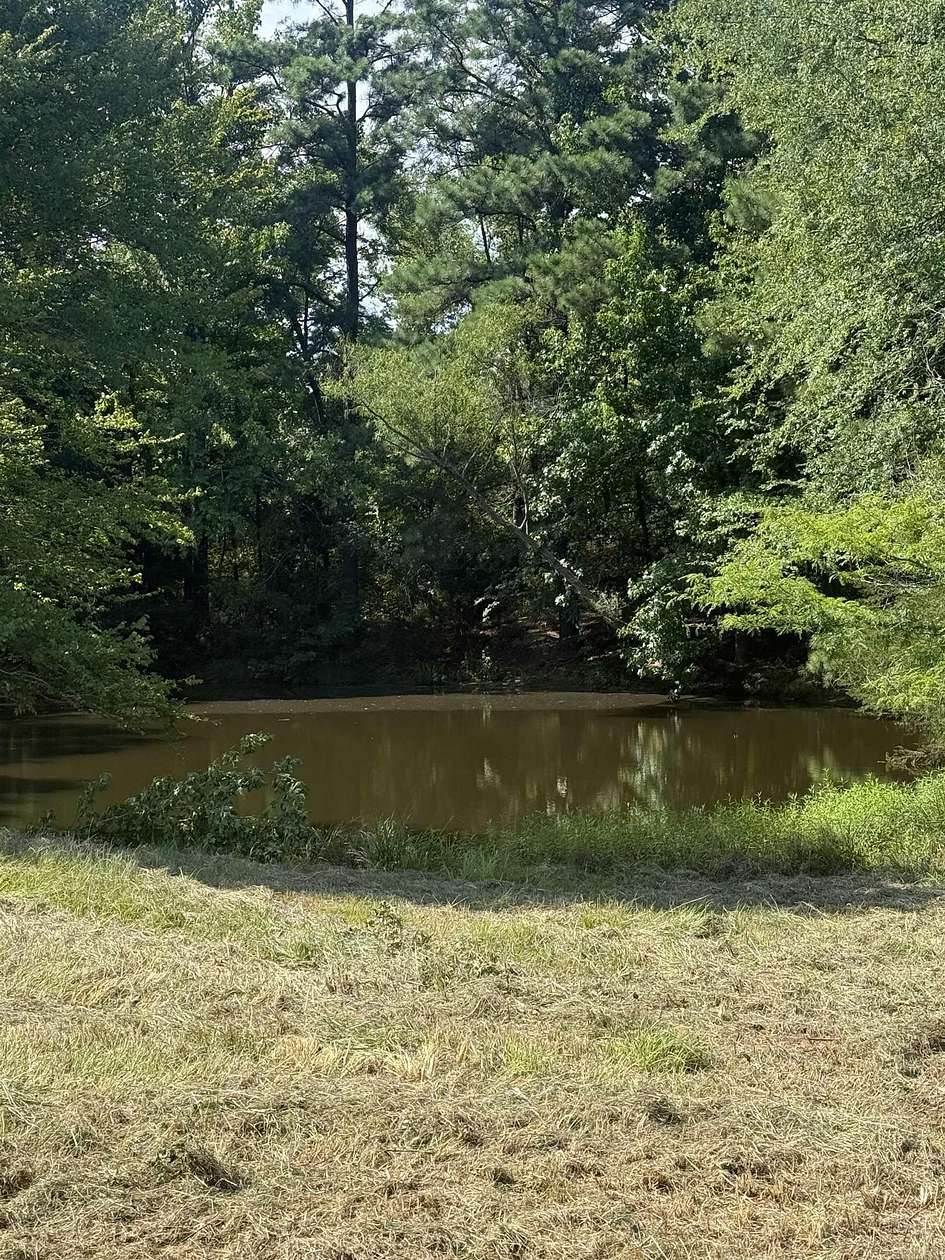 41.1 Acres of Land for Sale in Prescott, Arkansas