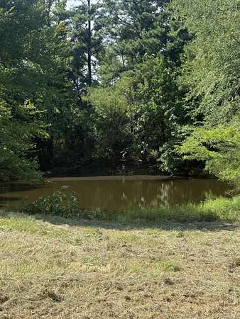 41.1 Acres of Land for Sale in Prescott, Arkansas