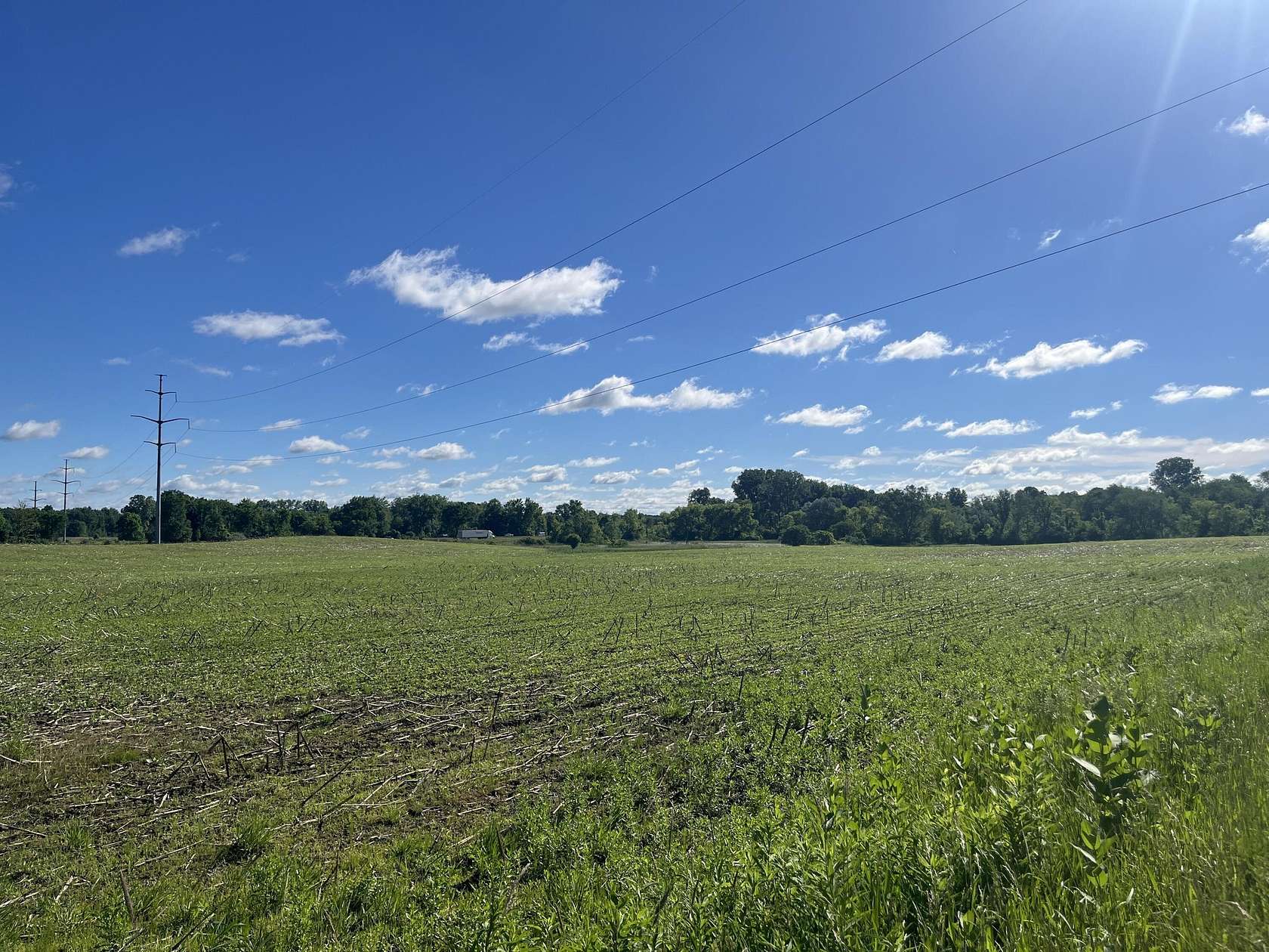 76 Acres of Land for Sale in Chelsea, Michigan
