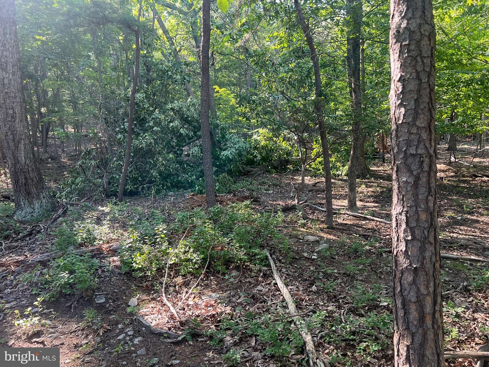 1.56 Acres of Residential Land for Sale in Haymarket, Virginia