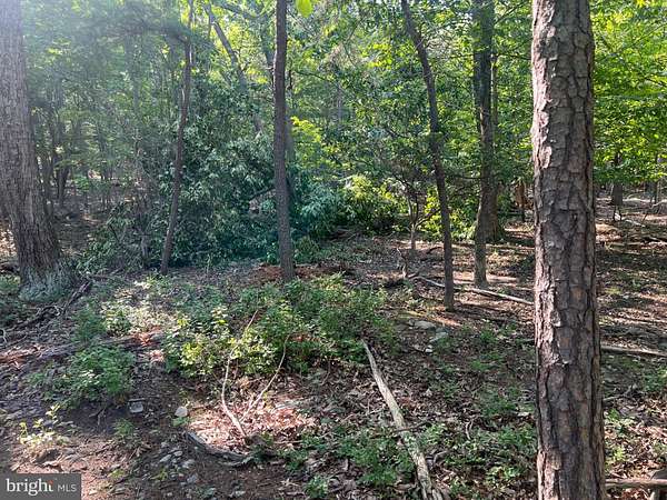 1.56 Acres of Residential Land for Sale in Haymarket, Virginia
