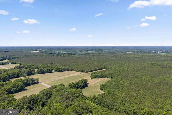 372 Acres of Recreational Land for Sale in Hague, Virginia