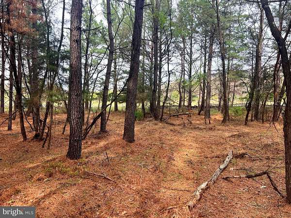 20.2 Acres of Recreational Land for Sale in Moorefield, West Virginia