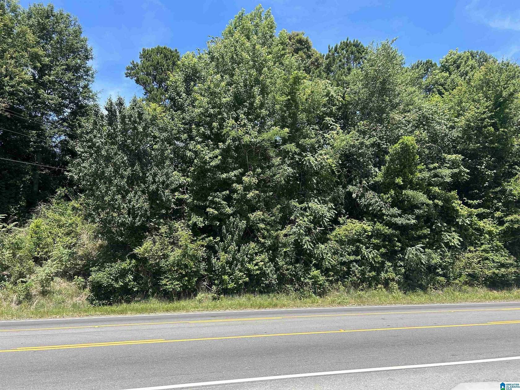 1 Acre of Commercial Land for Sale in Roanoke, Alabama