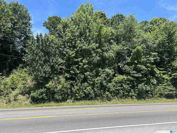 1 Acre of Commercial Land for Sale in Roanoke, Alabama