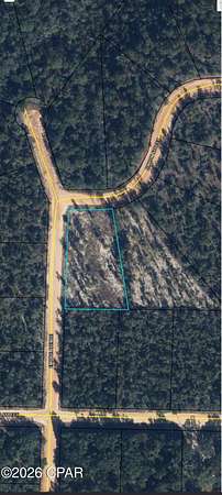 1 Acre of Residential Land for Sale in Alford, Florida