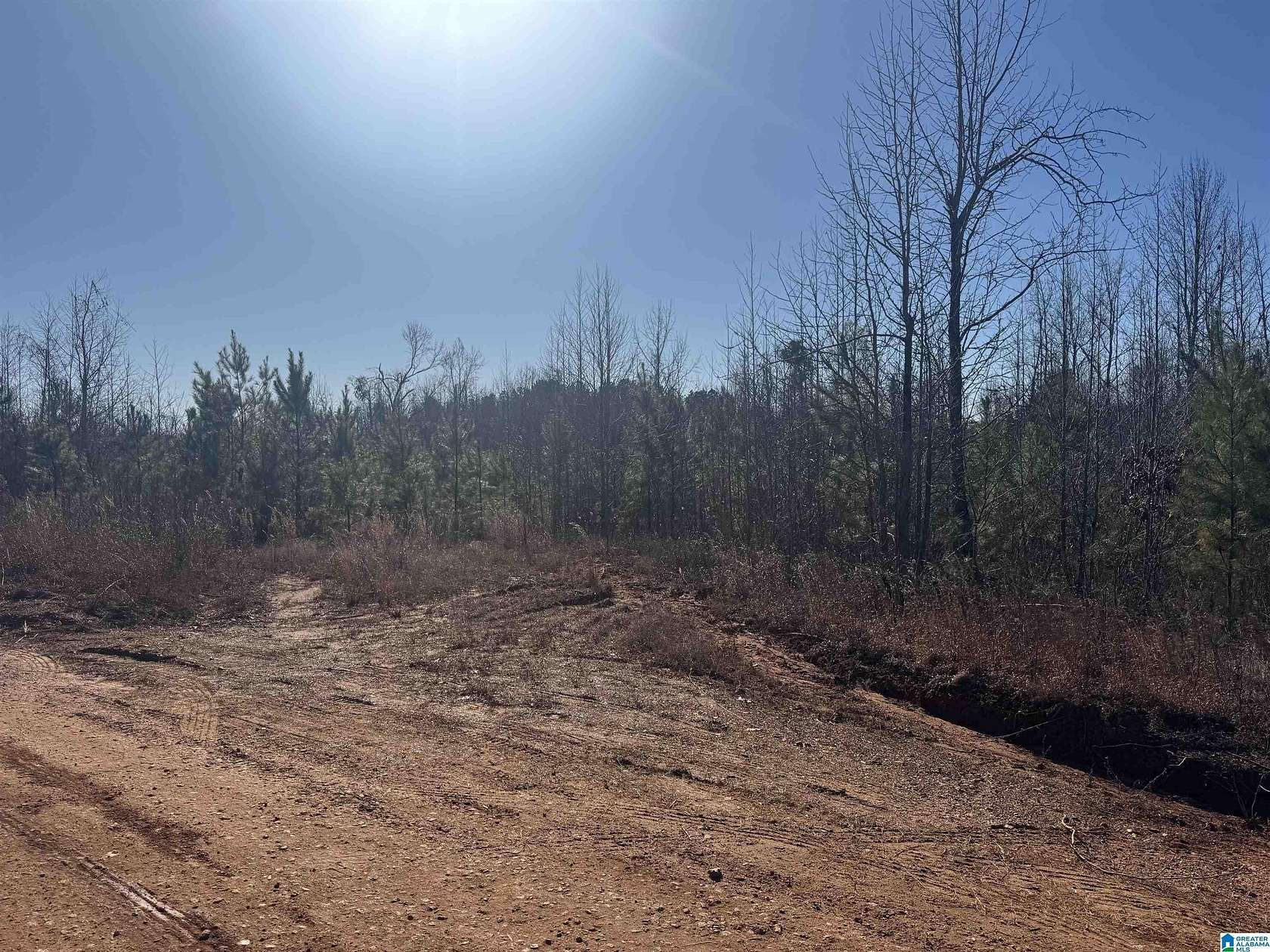 6.65 Acres of Residential Land for Sale in Roanoke, Alabama