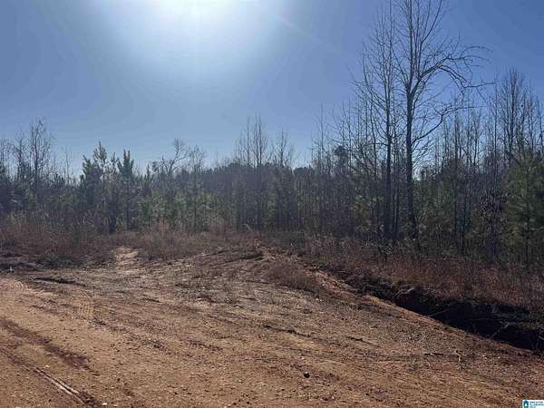 6.65 Acres of Residential Land for Sale in Roanoke, Alabama