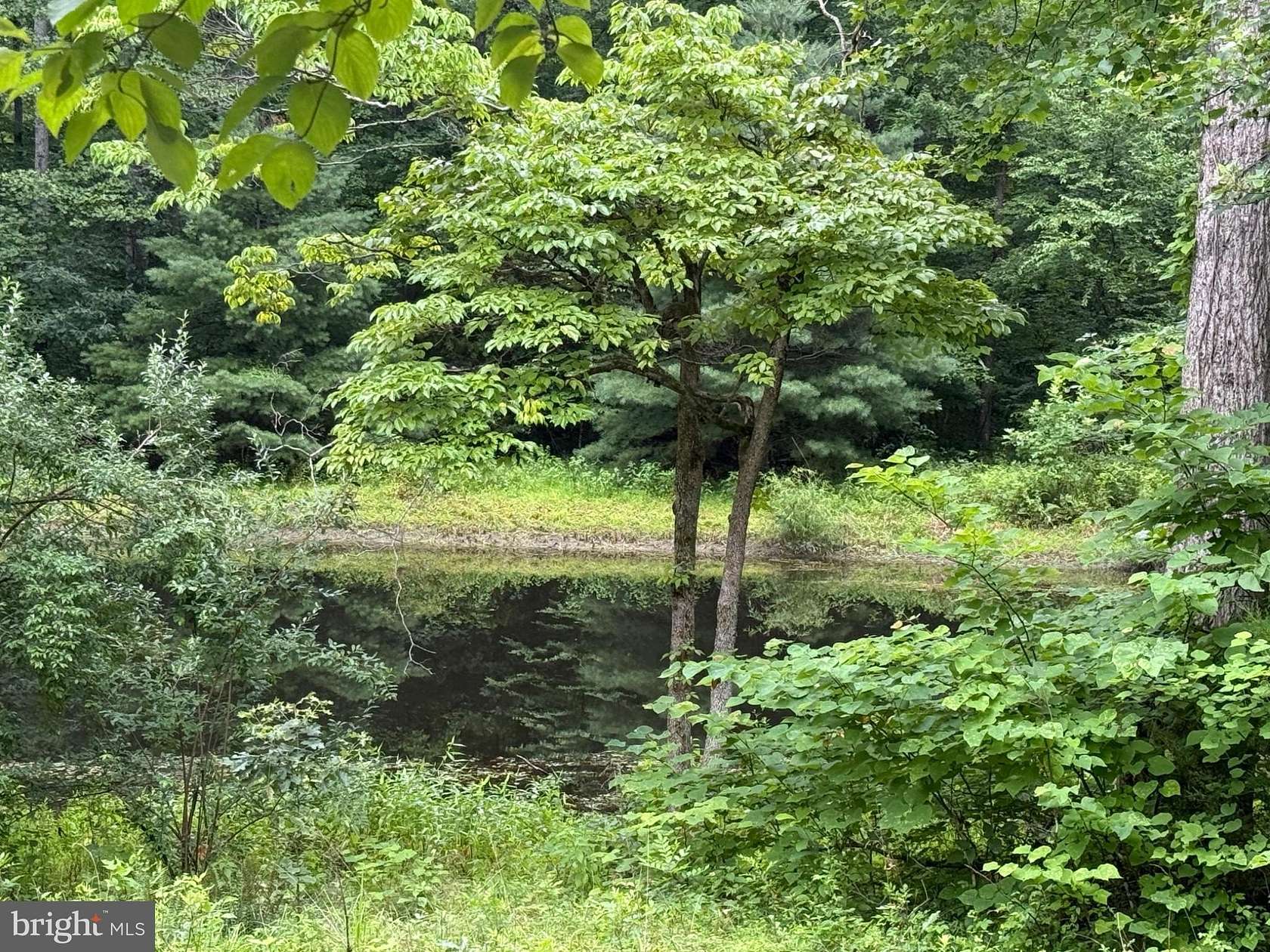 7.62 Acres of Land with Home for Sale in Reva, Virginia