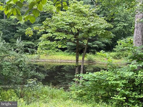 7.62 Acres of Land with Home for Sale in Reva, Virginia