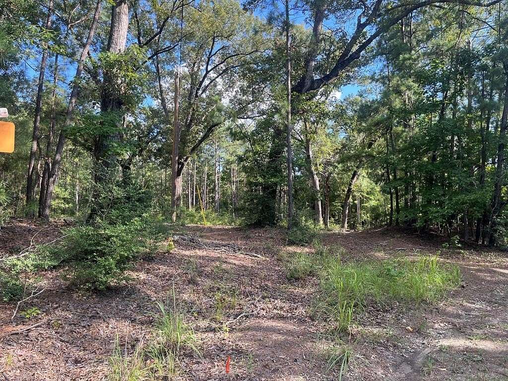 2.44 Acres of Residential Land for Sale in Brookeland, Texas