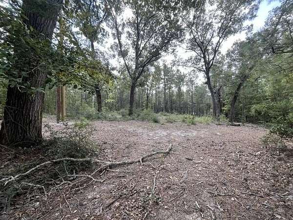 2.44 Acres of Residential Land for Sale in Brookeland, Texas