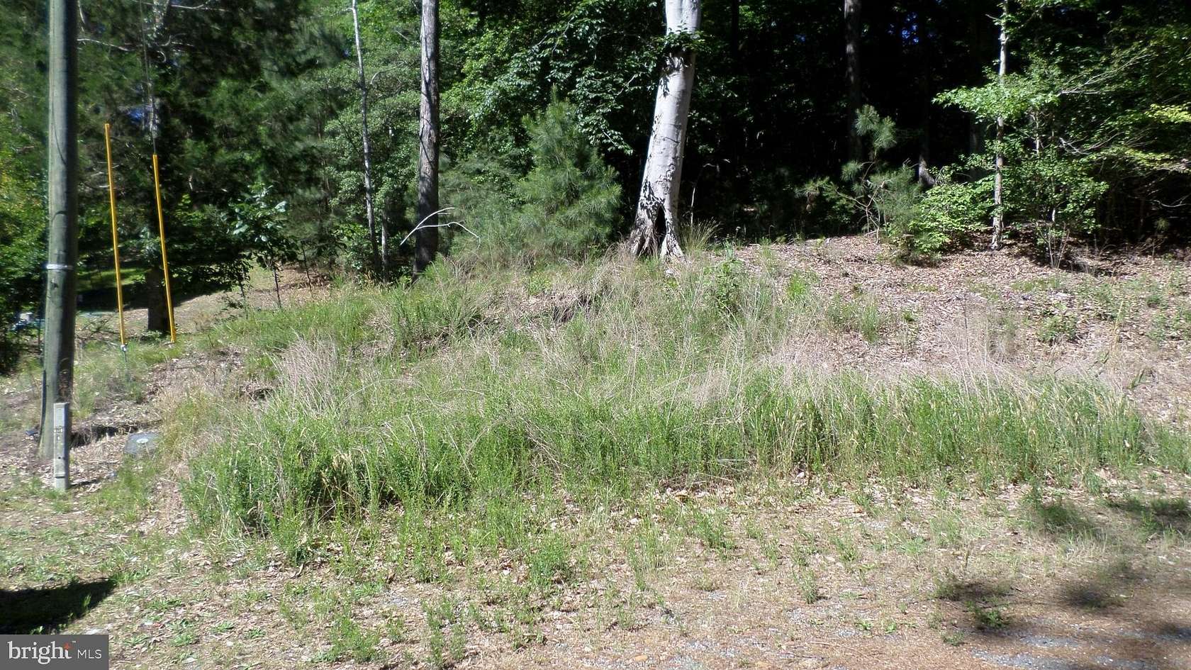 0.38 Acres of Residential Land for Sale in Montross, Virginia