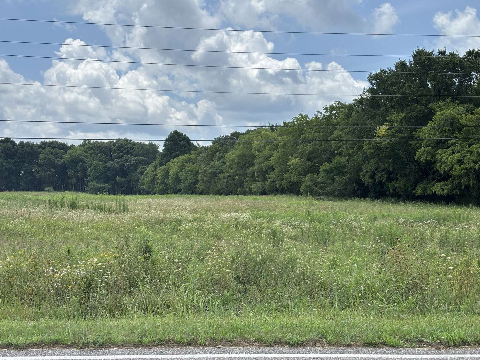 2 Acres of Residential Land for Sale in Chapel Hill, Tennessee