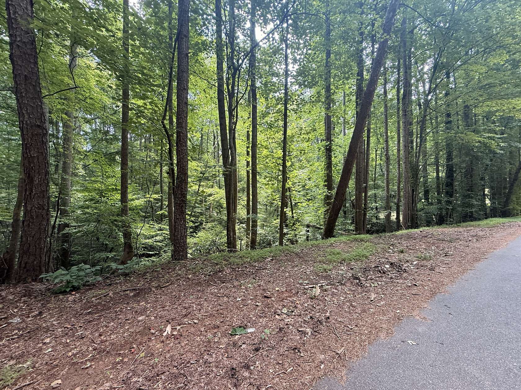 0.69 Acres of Residential Land for Auction in Gainesville, Georgia