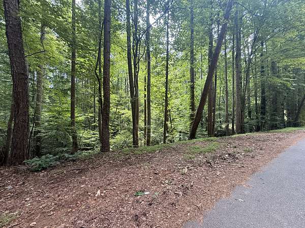 0.69 Acres of Residential Land for Auction in Gainesville, Georgia