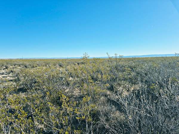 21.9 Acres of Recreational & Residential Land for Sale in Dell City, Texas