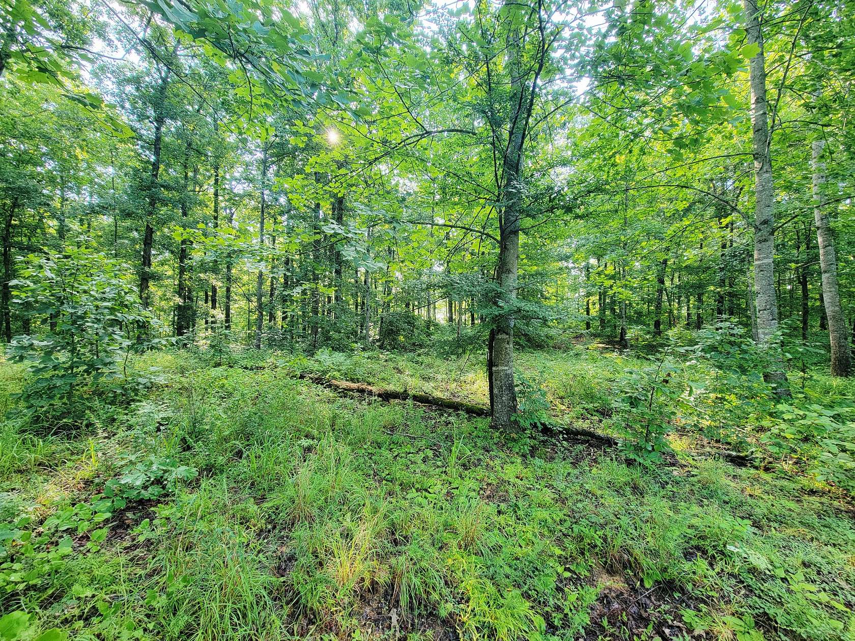 2 Acres of Residential Land for Sale in McEwen, Tennessee
