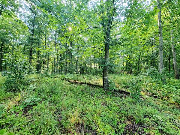 2 Acres of Residential Land for Sale in McEwen, Tennessee