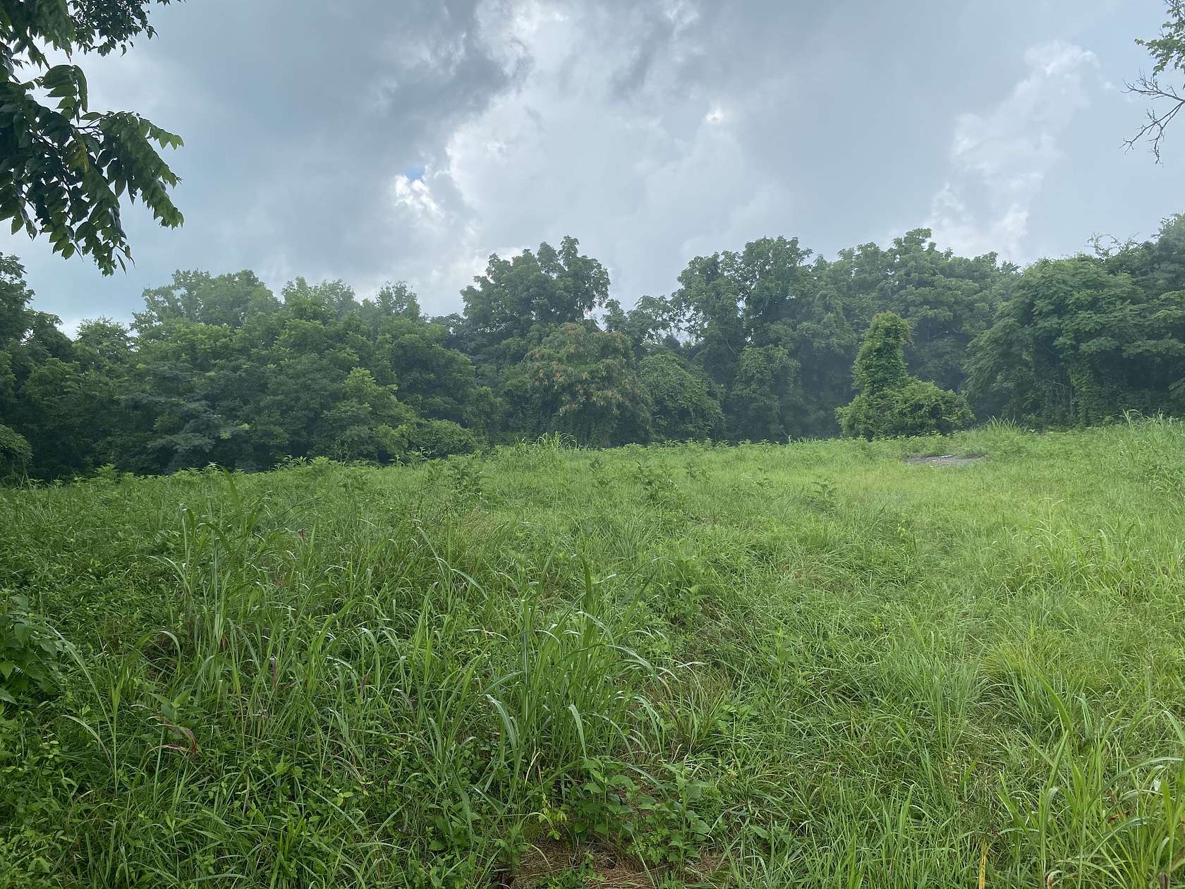 0.89 Acres of Residential Land for Sale in Pulaski, Tennessee