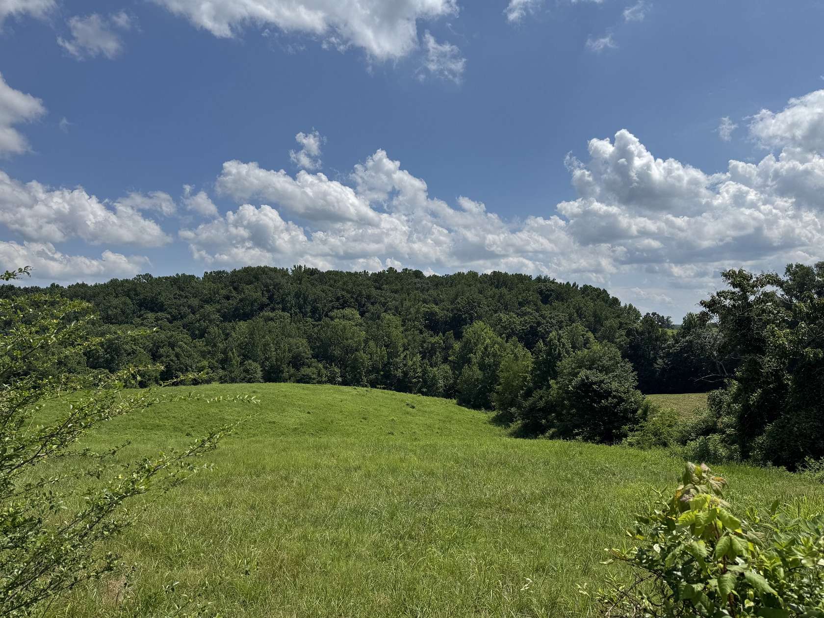 5 Acres of Residential Land for Sale in Smithville, Tennessee
