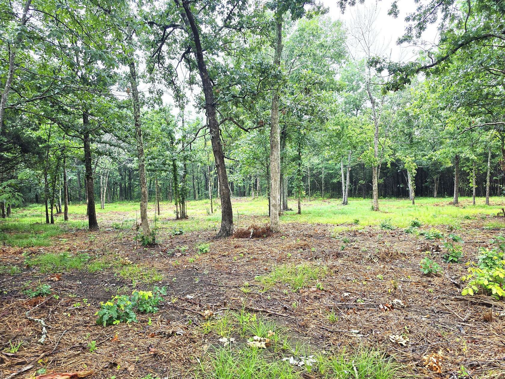 5.62 Acres of Residential Land for Sale in Mount Juliet, Tennessee