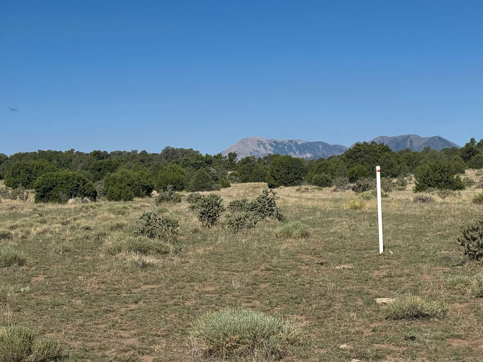 3 Acres of Land for Sale in Walsenburg, Colorado
