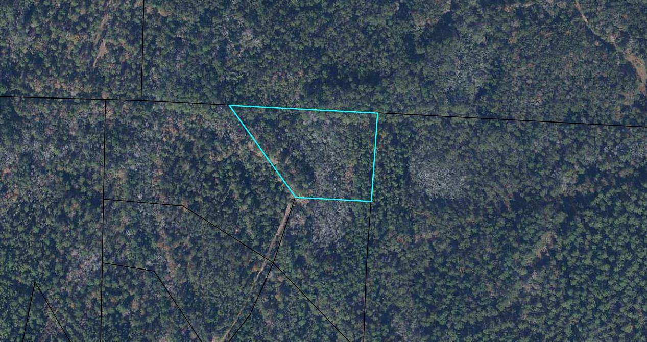 3.79 Acres of Residential Land for Sale in Bonifay, Florida