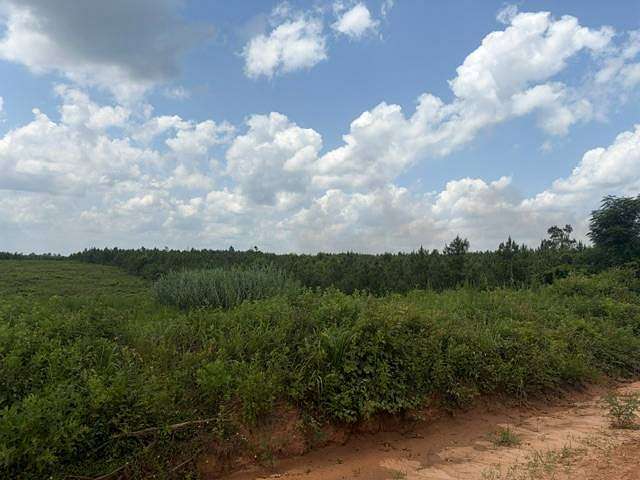 7.4 Acres of Residential Land for Sale in Luverne, Alabama