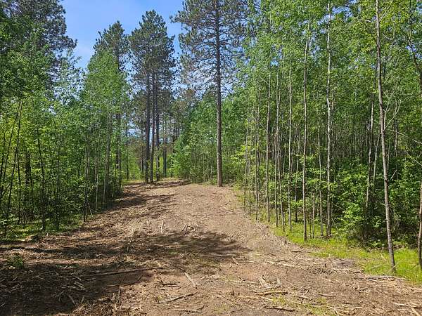 20 Acres of Recreational Land for Sale in Nokomis Town, Wisconsin