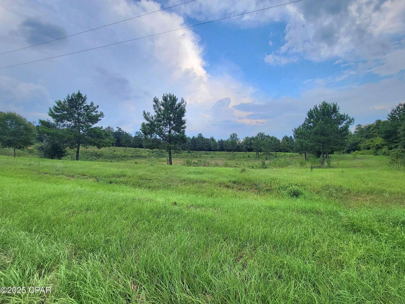 10 Acres of Land for Sale in Bascom, Florida