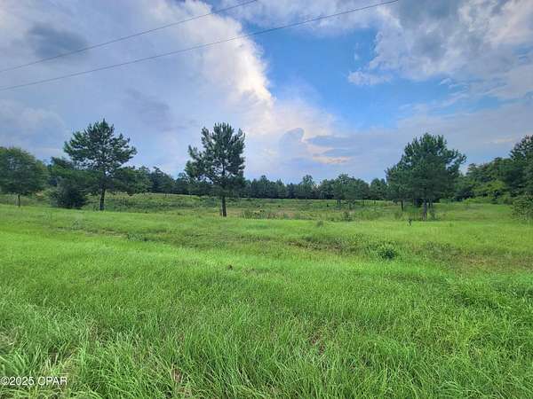 10 Acres of Land for Sale in Bascom, Florida