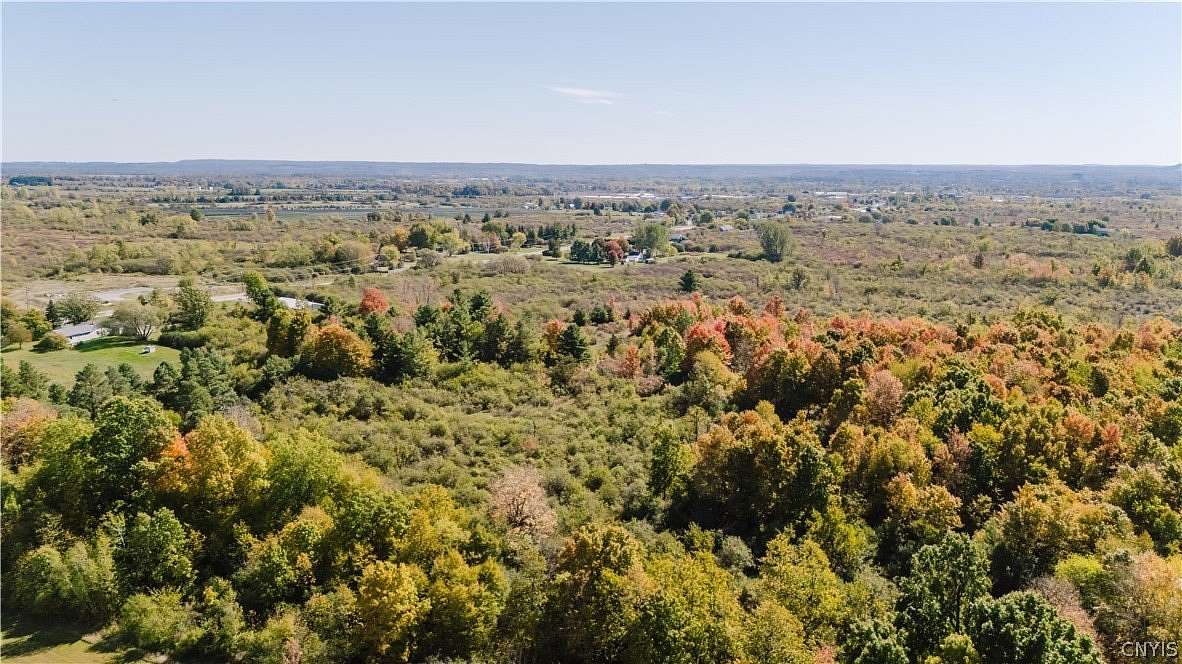 46.2 Acres of Land for Sale in Evans Mills, New York