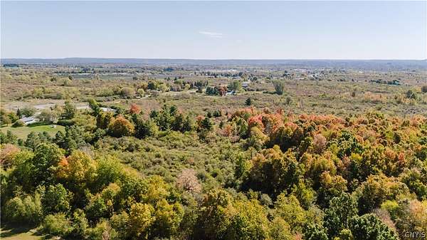 46.2 Acres of Land for Sale in Evans Mills, New York