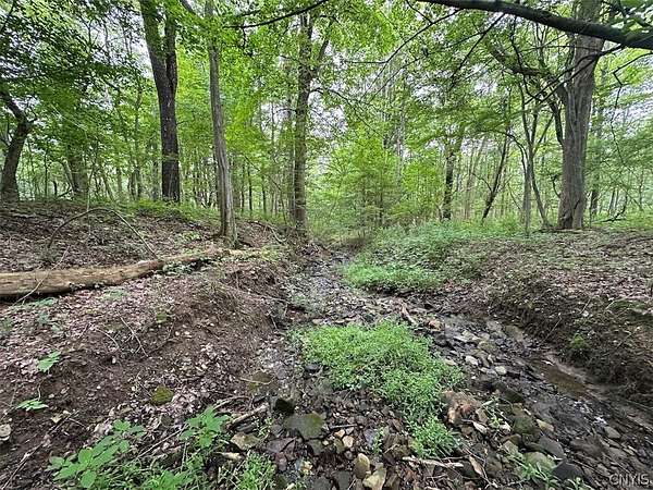 5.4 Acres of Land for Sale in Hunt, New York