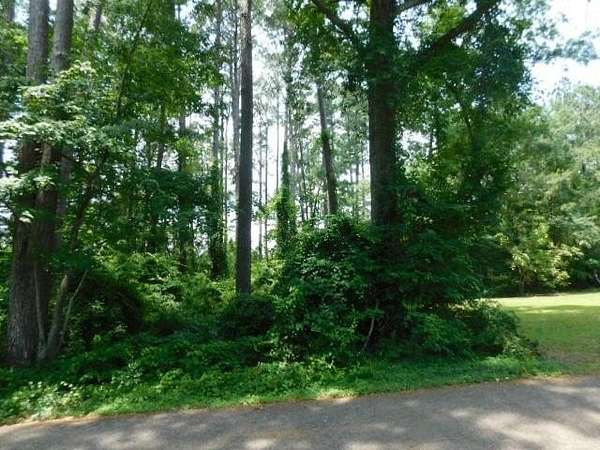 0.5 Acres of Residential Land for Sale in Hemphill, Texas