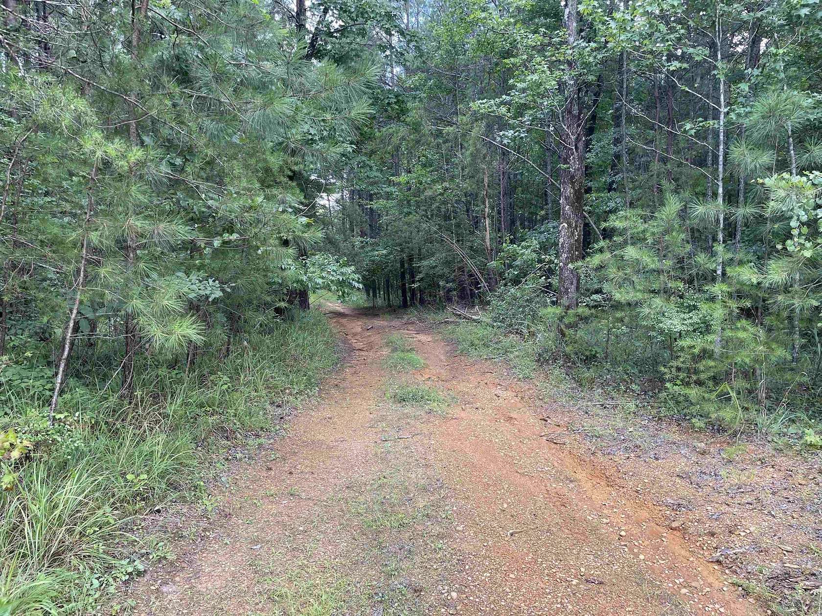 49 Acres of Recreational & Residential Land for Sale in Eldridge, Alabama