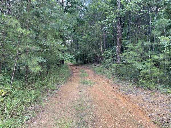 49 Acres of Recreational & Residential Land for Sale in Eldridge, Alabama