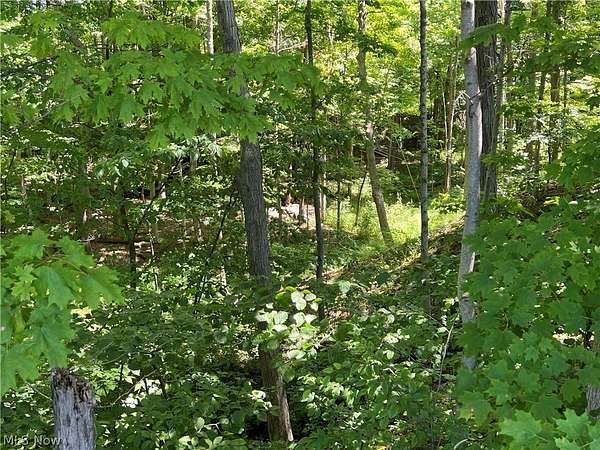 5 Acres of Land for Sale in Geneva, Ohio